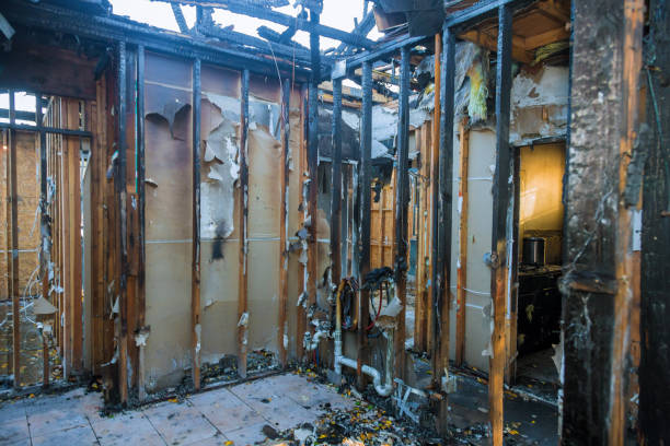 Professional Fire Damage Removal technician working in Trenton, OH